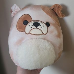 Bronk squishmallow 8"